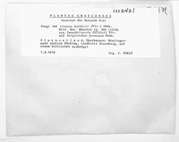 Image Associated With the Occurence